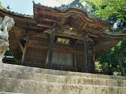 雷ちゃんさんの阿島の大藤の投稿写真12