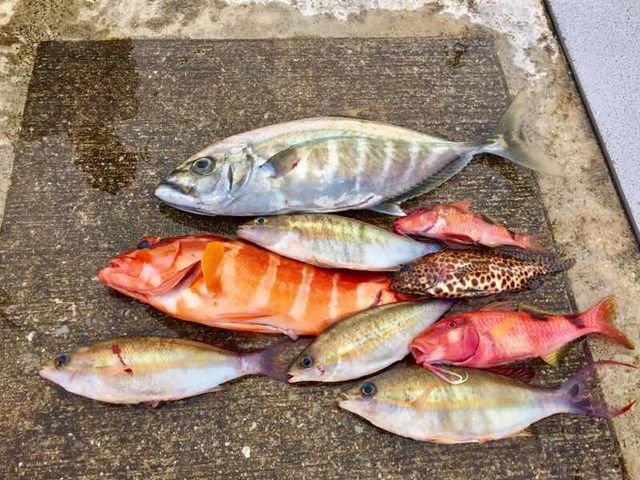 釣果_ロイヤルマリンおきなわ