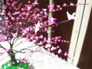 amuchaさんの尾上農村環境改善センターさるか荘の投稿写真2