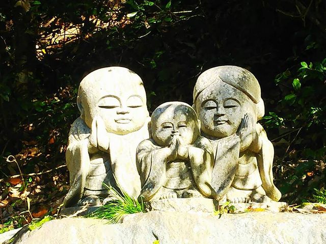 可愛い_寂光院