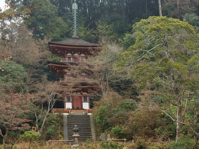 周囲と調和がとれた塔だ_浄瑠璃寺三重塔