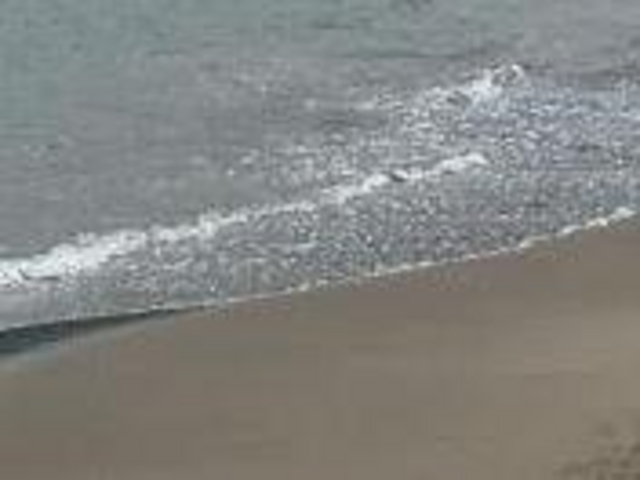 アクセルゼンカイさんの金山海水浴場の投稿写真1