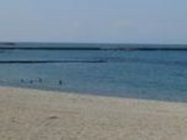 アクセルゼンカイさんの網代浜海水浴場の投稿写真1