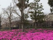 HIKO2さんの三ツ又池公園の投稿写真1