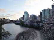 べレアさんの江戸城外堀跡の投稿写真1