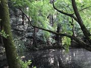 kmさんの山の辺の道の投稿写真1