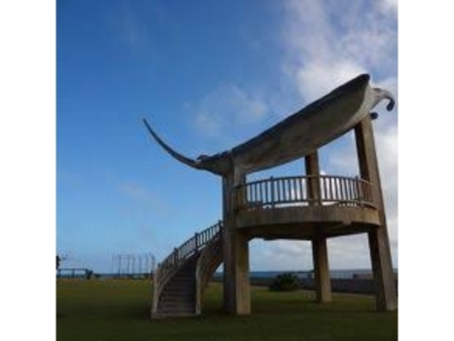マンタ_海人公園