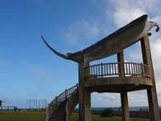 レナさんの海人公園の投稿写真1