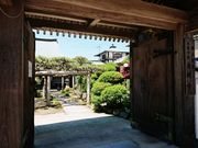 しんのすけさんの光明寺の松の投稿写真1