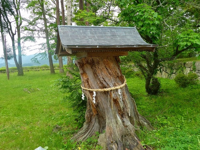兵庫県篠山市・篠山城跡_篠山城跡