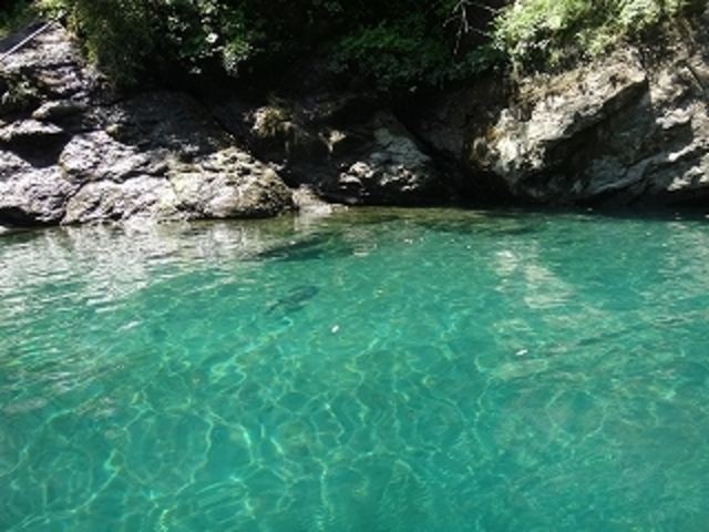 きれいなブルーです_SUP(宮川)