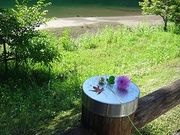 チョコパフェさんのもみじの里公園の投稿写真1