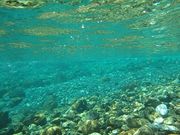 チョコパフェさんの銚子川流域の投稿写真2