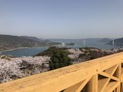 テツワンさんの開山公園の投稿写真10