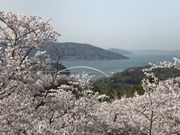 テツワンさんの開山公園の投稿写真7