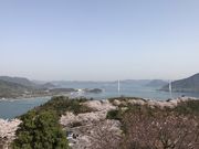 テツワンさんの開山公園の投稿写真9