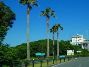 マックさんの鳥羽展望台の投稿写真20