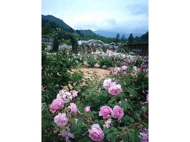 庭園_山梨県富士川クラフトパーク
