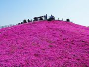 takabooさんの茶臼山・萩太郎山の投稿写真2