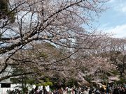 イーストウッドさんの駒場公園の投稿写真2