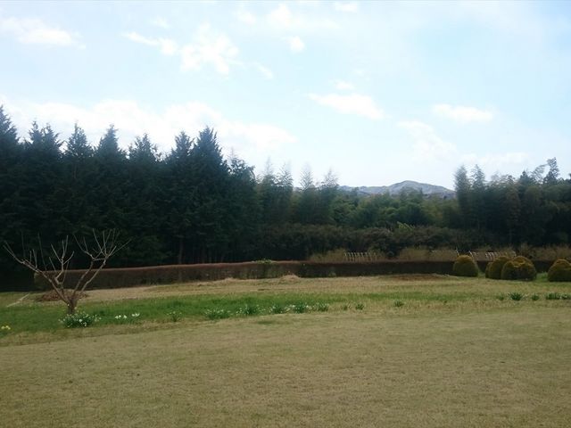 庭_ノートルダム