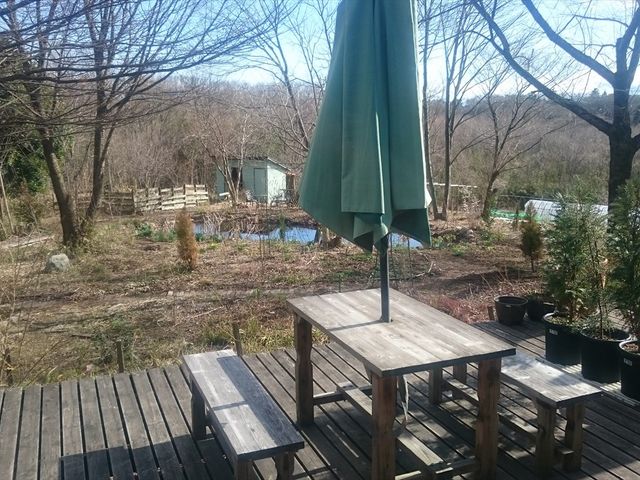 テラス_Feng's Cafe