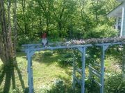 mon-tさんのCafe ZAZAの投稿写真5