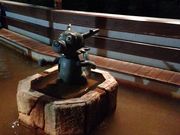 れこさんの足湯 洞龍の湯の投稿写真1