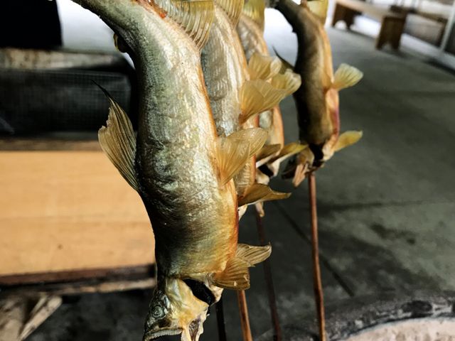 500円_上野村ふれあい館
