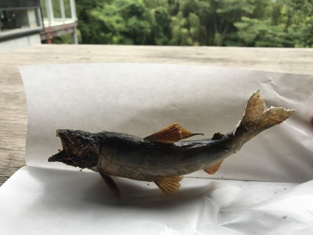 ベンチがあり食べられます。_上野村ふれあい館