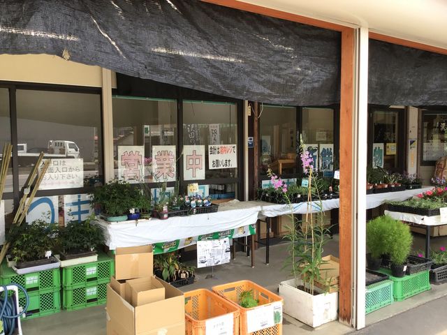 安西せんせい、 ダイエットがしたいです。さんの沢田農産物直売所の投稿写真2