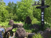 christelさんの原始ヶ原の投稿写真1