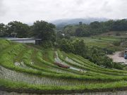 panchanさんの下赤阪の棚田の投稿写真4