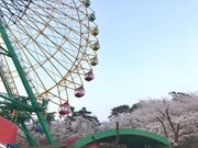 えりさんの華蔵寺公園遊園地の投稿写真2
