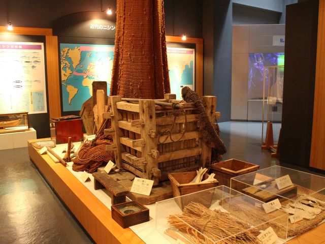 郷土資料の展示_海のふるさと館