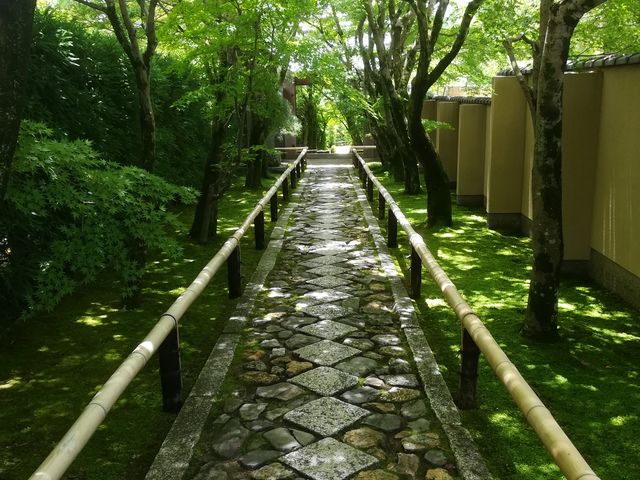 参道_光悦寺