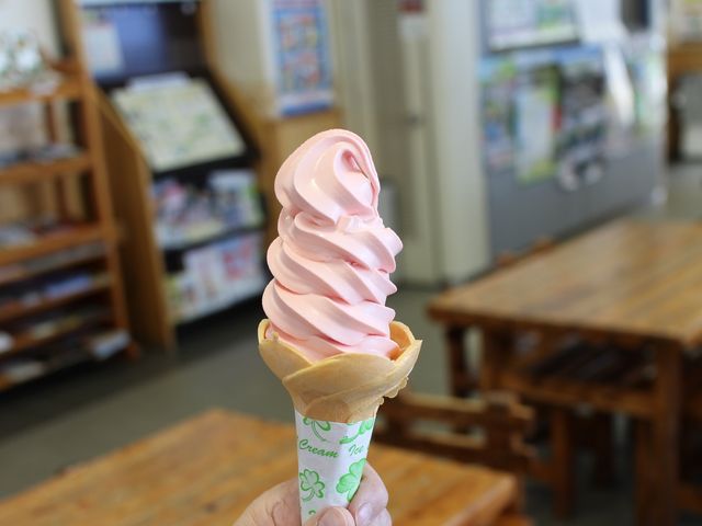 定番のすいかソフト_道の駅 とうま