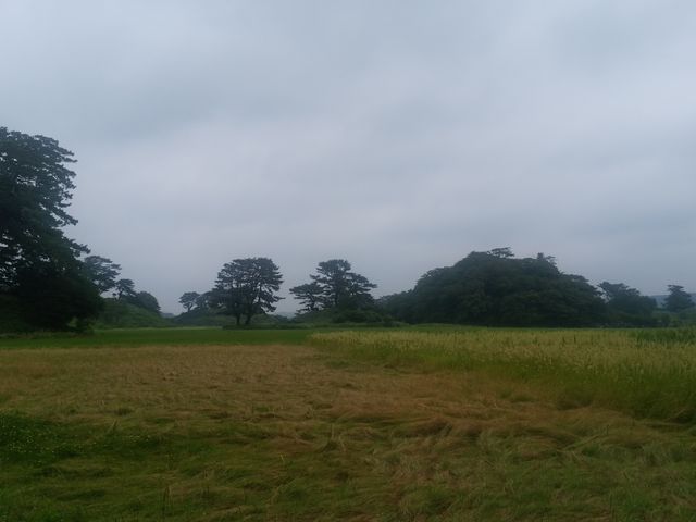 真正面過ぎます・・・_天然記念物「象潟」九十九島