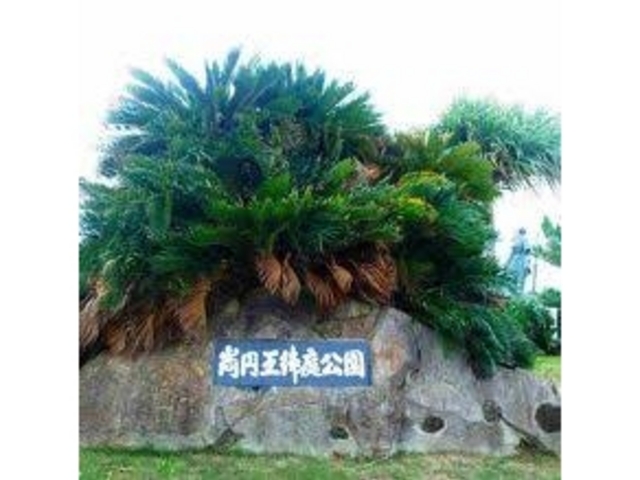 広かった_尚円王御庭公園