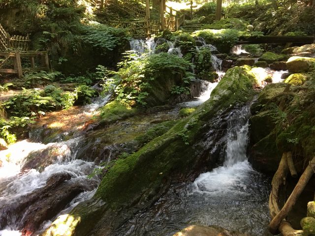 若狭瓜割名水公園B_若狭瓜割名水公園