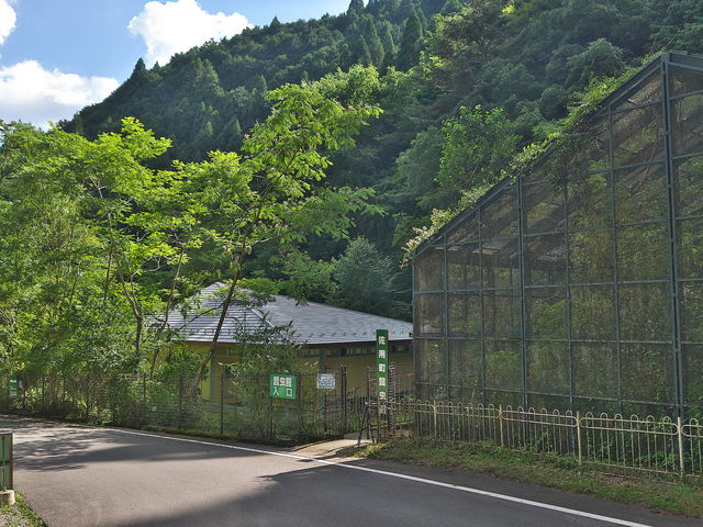 sklfhさんの佐用町昆虫館の投稿写真1