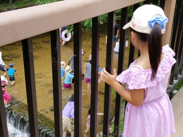 川沿いの上にあるデッキから見渡せる_岩屋堂公園