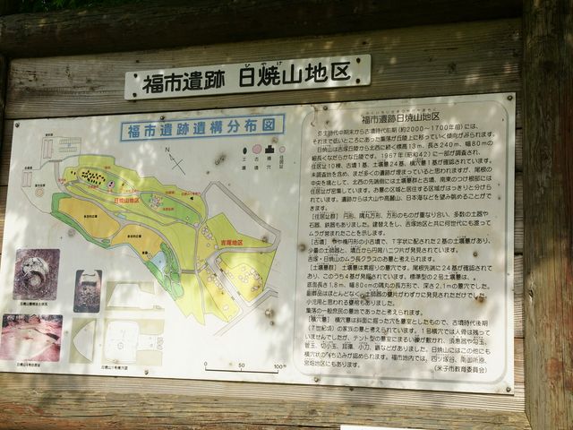こんもりしたとこが実は遺跡だったりして、案内図あり、それでわかりました_福市遺跡公園