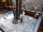楽しい毎日さんの大好ヤ 紺屋町店の投稿写真3