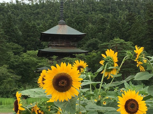 三重の塔_安久津八幡神社