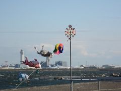 城南島海浜公園の写真1