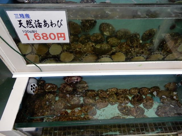冷凍あわびの方が少し安いです_道の駅 さんりく 三陸ふるさと物産センター