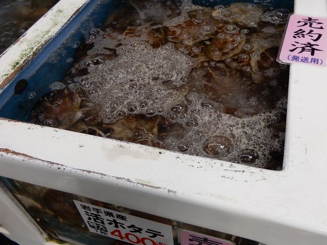 大型のホタテは完売_道の駅 さんりく 三陸ふるさと物産センター
