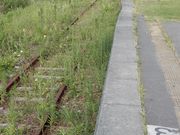 坊ちゃんさんの道の駅 大谷海岸の投稿写真1