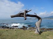 坊ちゃんさんの岩井崎の投稿写真3